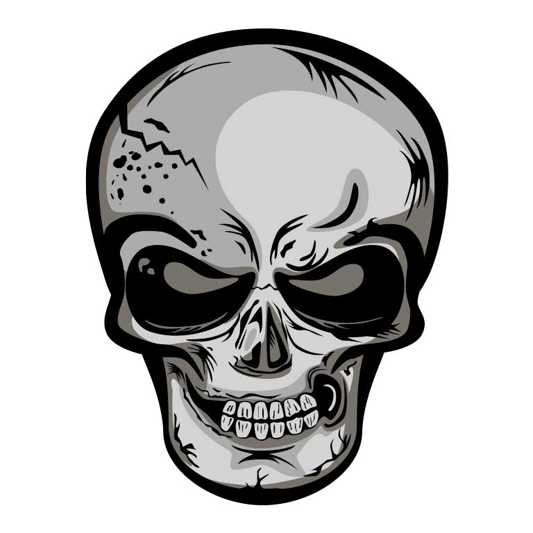 Black & Grey Skull Graphic Decal - Ragged Apparel Screen Printing and Signs - www.nmshirts.com