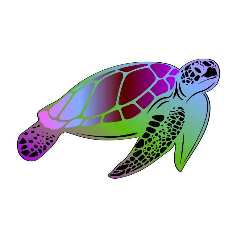 Colorful Sea Turtle Graphic Decal - Ragged Apparel Screen Printing and Signs - www.nmshirts.com