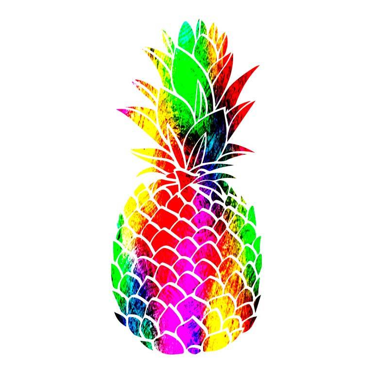 Colorful Pineapple Graphic Decal - Ragged Apparel Screen Printing and Signs - www.nmshirts.com